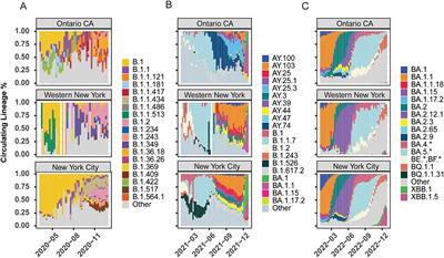 Genomic profiling and spatial SEIR modeling of COVID-19 transmission in Western New York